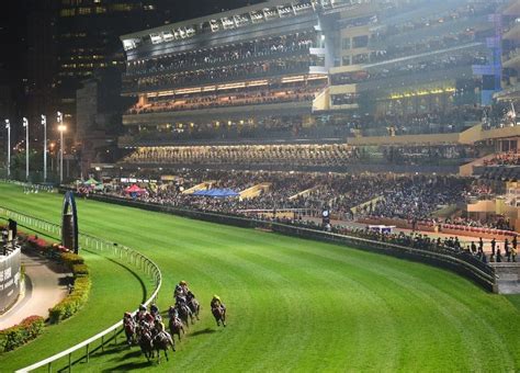 happy valley odds|Happy Valley Racing Tips, Best Bets & Odds .
